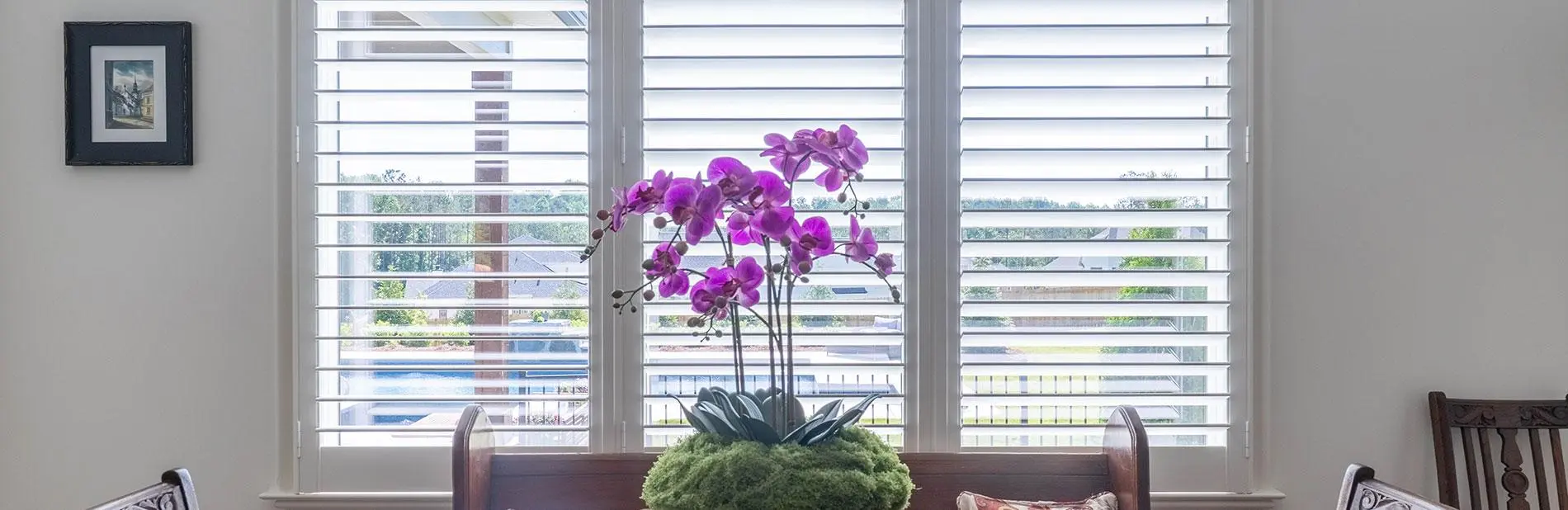 Interior Shutters