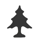 Cedar Tree (C15)