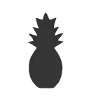 Pineapple (C9)