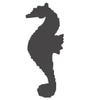 Sea Horse (C18)