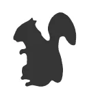 Squirrel (C11)