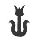 Tulip (C13)