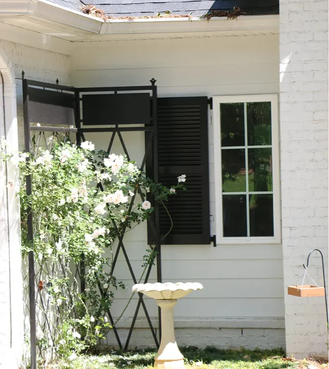 DesignLine Fixed Louver