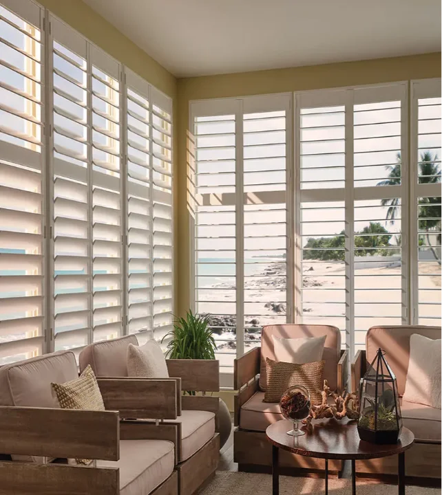 SHPOL_SUNROOM_4.5_FRAME_Z_REARTILT_COTTON