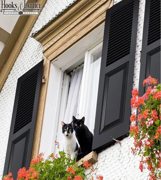 combination.cats.exterior.black.window