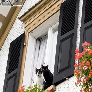 combination.cats.exterior.black.window